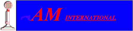 AMI Logo